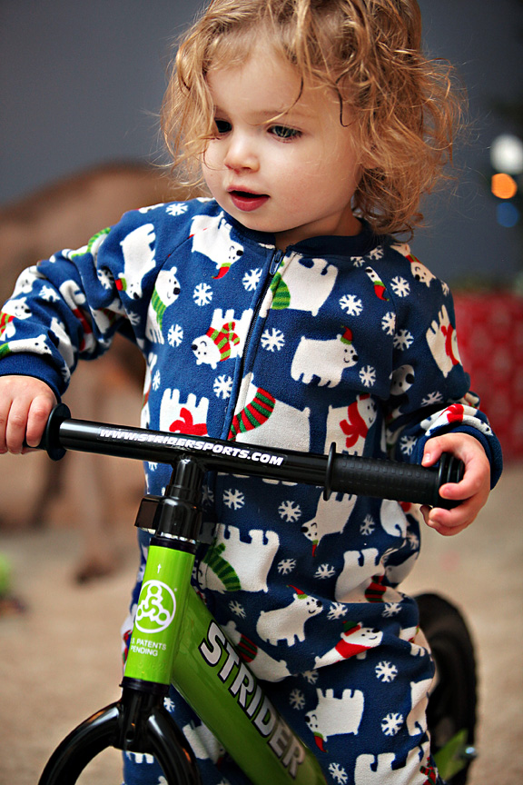 bikerdud bikerdud