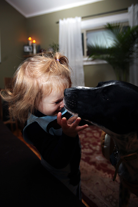 halloween4651a halloween4651a