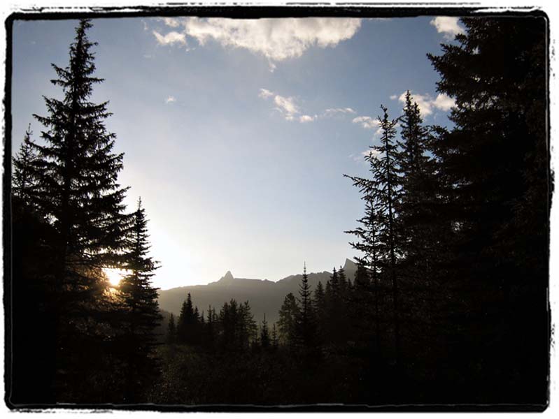 IMG_0558a