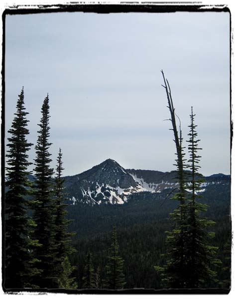 IMG_0593a