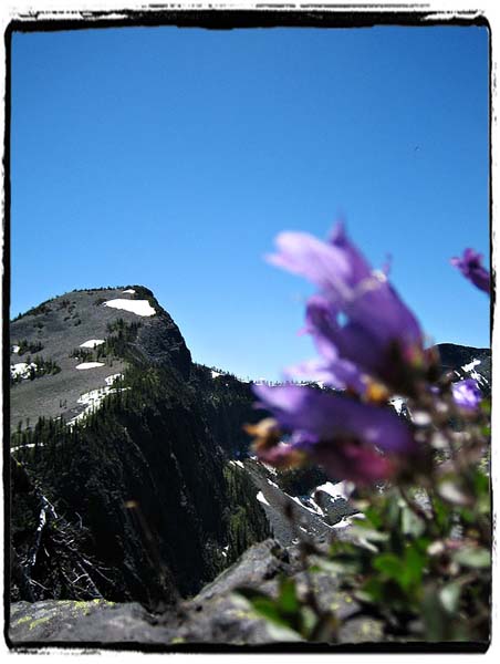 PNT2_0052