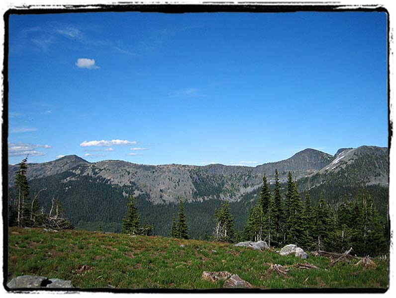PNT2_0054