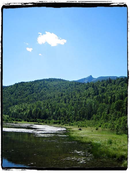 PNT2_0096