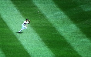 IMG_8117 IMG_8117